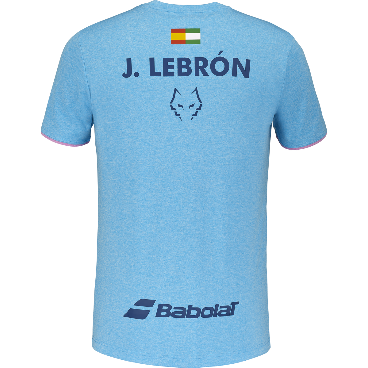 Babolat Crew Neck Tee Lebron in light blue, back view
