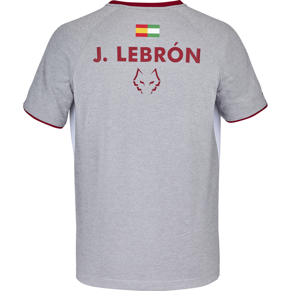 Babolat Crew Neck Tee Lebron in white, back view