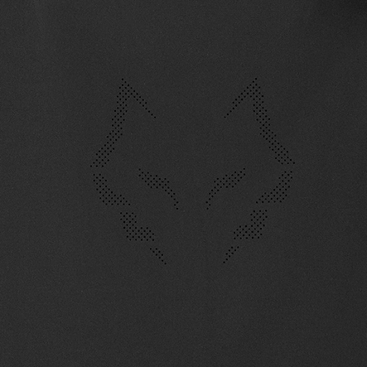 Babolat Jacket Tech Lebron in black, fabric detail view