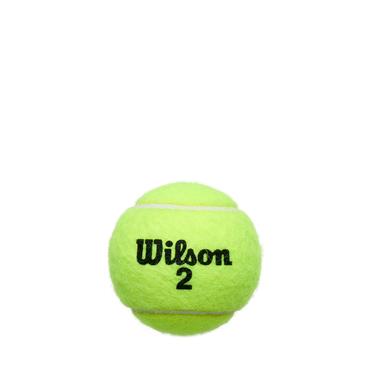 Roland Garros All Court 4 Ball