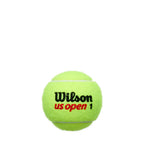 US Open Extra Duty 3 Ball Can